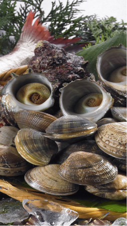 画像：三重産貝類